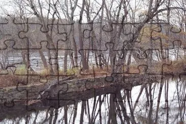 Prall 's Mill canal jigsaw puzzle