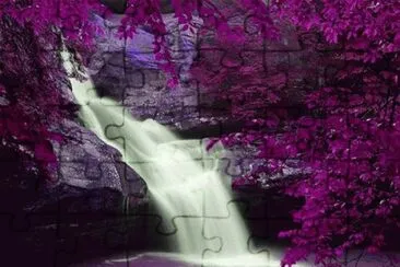Waterfall in Purple Splendor