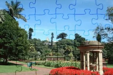 dsa 1 jigsaw puzzle