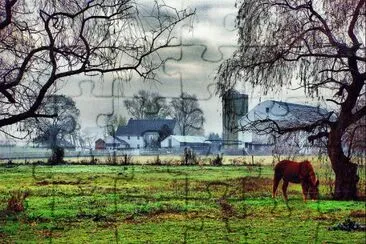 peaceful morning jigsaw puzzle