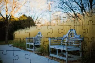 benches jigsaw puzzle