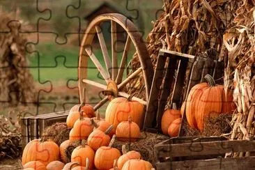 pumpkin time