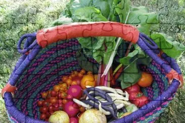 food from the garden