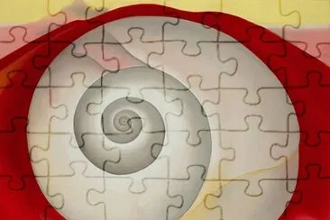 פאזל של snail shell
