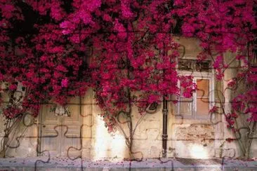 paisagem jigsaw puzzle