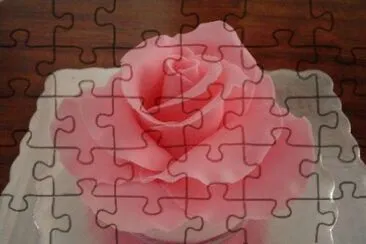 sol del desierto jigsaw puzzle