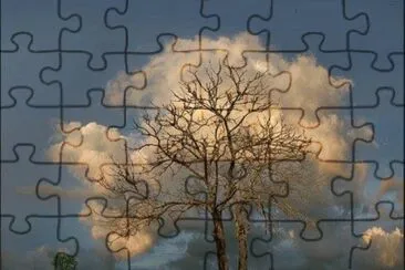 leaves of clouds jigsaw puzzle