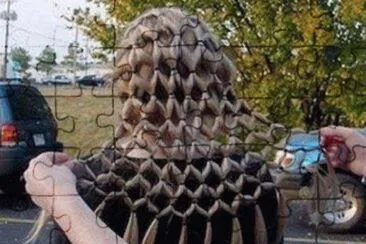 fractal hair braid