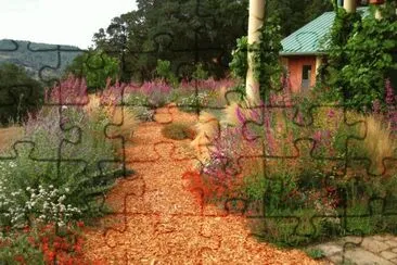 indigenous plant garden CA