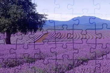 Paisatje jigsaw puzzle