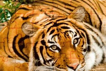 . jigsaw puzzle