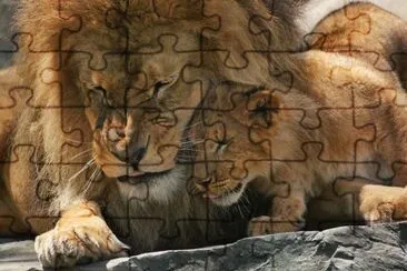 . jigsaw puzzle