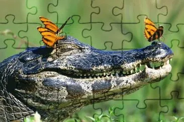 . jigsaw puzzle