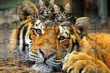 . jigsaw puzzle