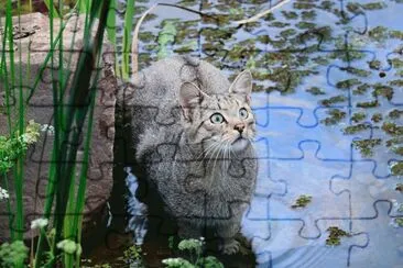 . jigsaw puzzle
