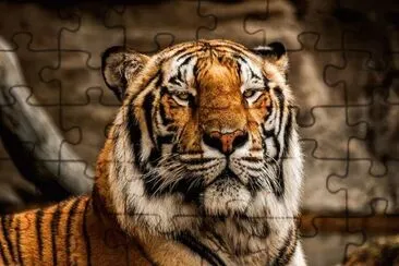 . jigsaw puzzle
