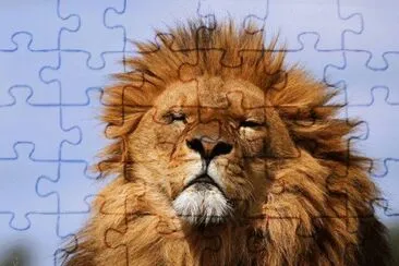 . jigsaw puzzle