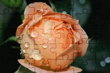 r6 jigsaw puzzle