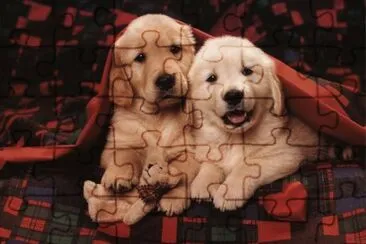 c6 jigsaw puzzle