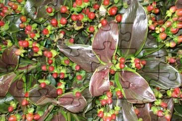 flores plateadas