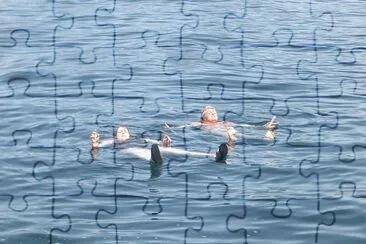 6 jigsaw puzzle