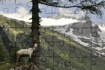 Alto Adige
