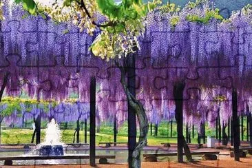 natural pergola
