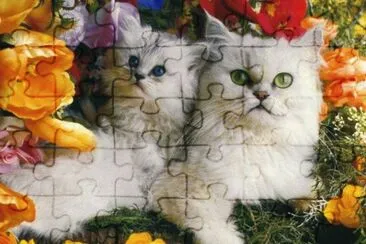 gatets jigsaw puzzle