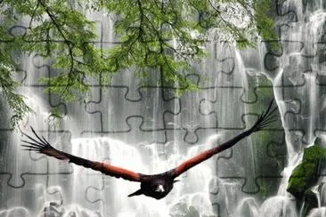 flight at the falls