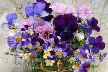 פאזל של violets