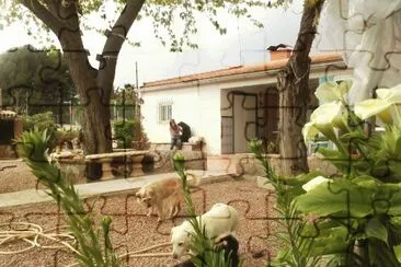 PETRA Y SUPERVILLANO