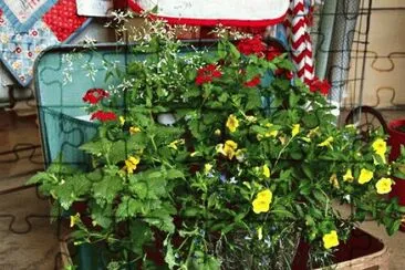 suitcase planter