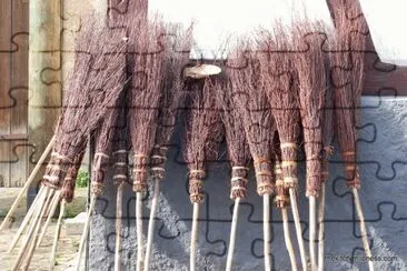 witches ' brooms