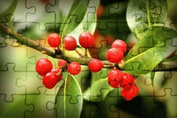berries jigsaw puzzle