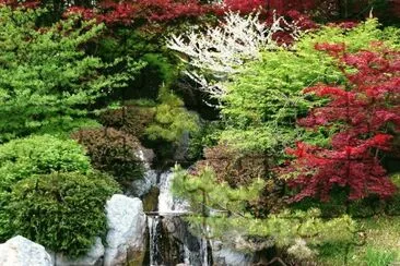 paisajes jigsaw puzzle
