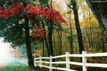 white fence in autumn jigsaw puzzle