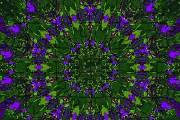 wild berry