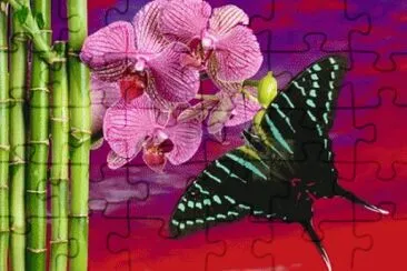  jigsaw puzzle