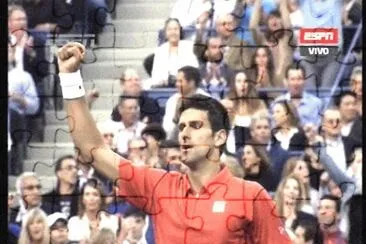 NOLE jigsaw puzzle
