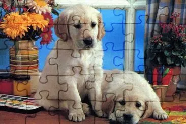  jigsaw puzzle