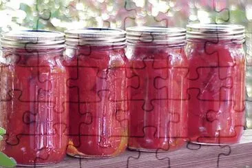 canning the harvest