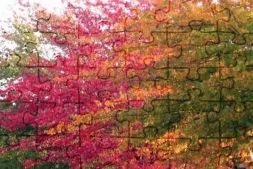 changing trees