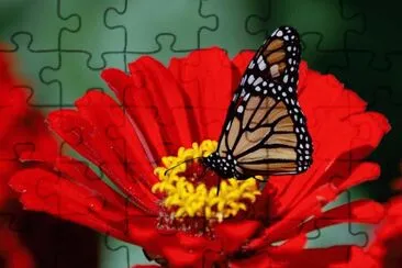 colores jigsaw puzzle