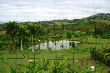 paisaje jigsaw puzzle