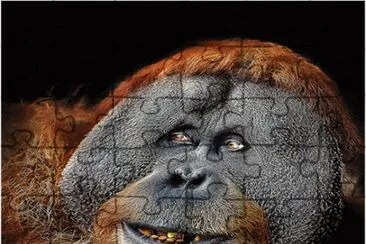 . jigsaw puzzle