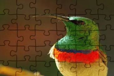 . jigsaw puzzle