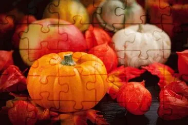 foto jigsaw puzzle