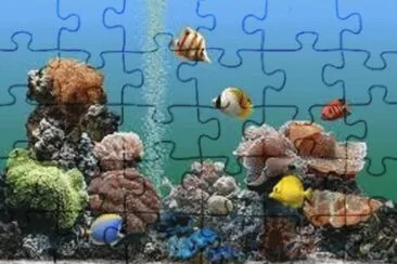 peixes jigsaw puzzle
