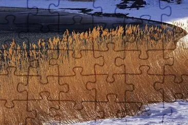 snow and wild grass jigsaw puzzle