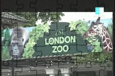 LONDON ZOO